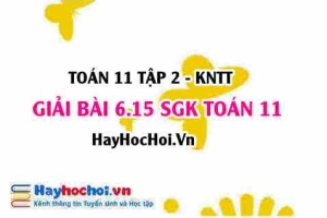 Bài 6.15 SGK Toán 11 Tập 2 Kết nối tri thức